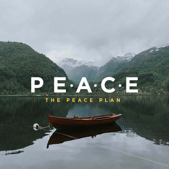 P.E.A.C.E Plan - Grace Church