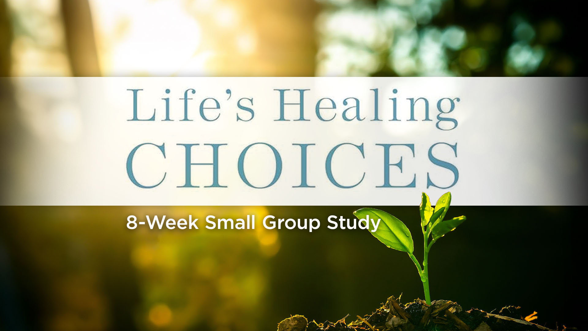 Life's Healing Choices

8-week small group study
October 4 - November 23
