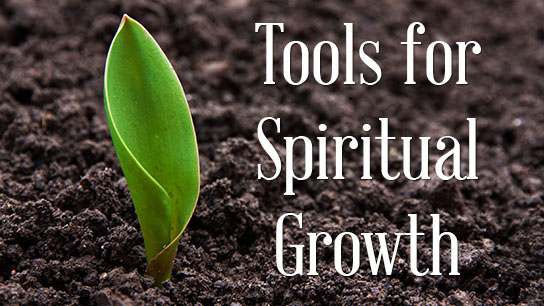 Tools for Spiritual Growth

Next session to be determined
