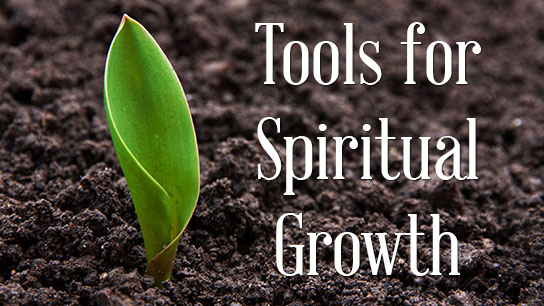 Tools for Spiritual Growth

Next session to be determined
